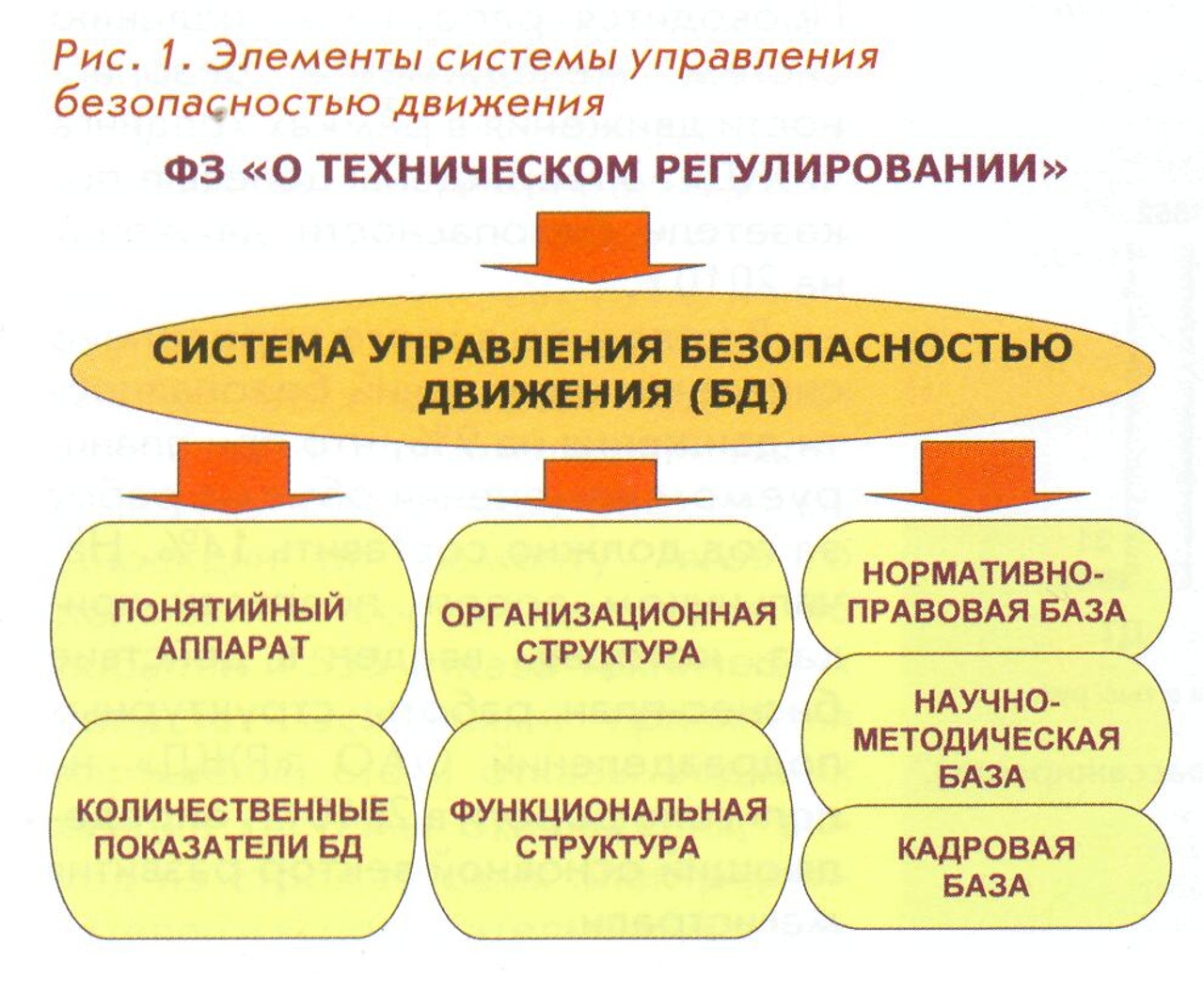 Уровни подготовки кадров. Кадровая база. Организационное регулирование это. Понятийный аппарат менеджмента. Организационное регламентирование.